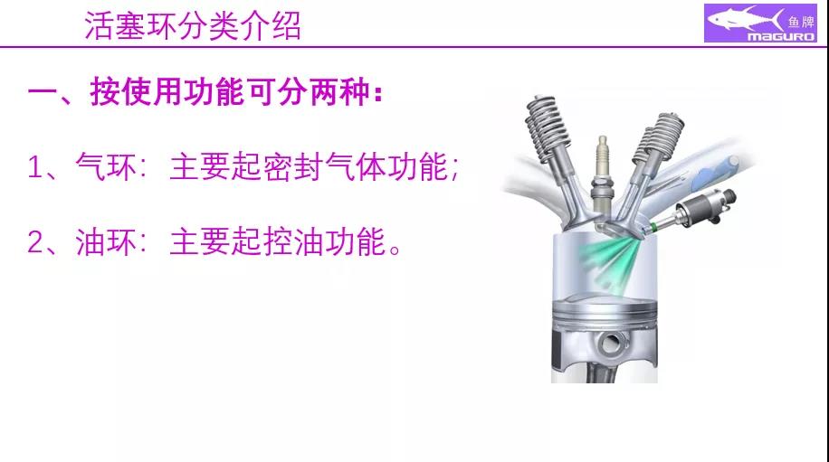 活塞环分类介绍