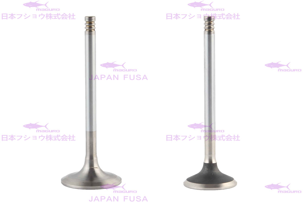 Engine Valve for VOLVO D6E