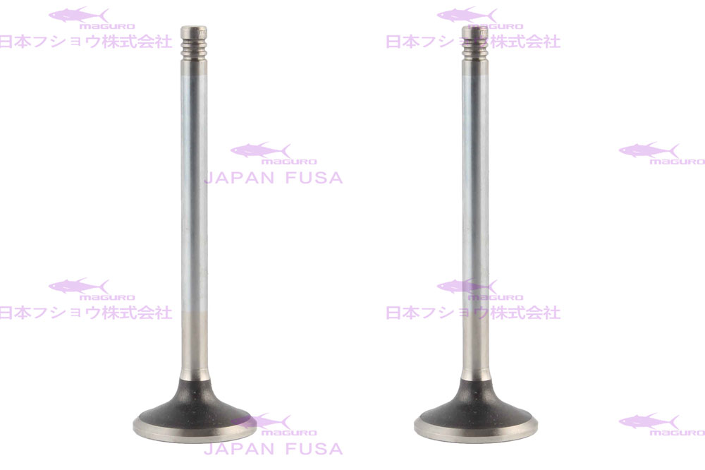 Engine Valve for VOLVO D7E